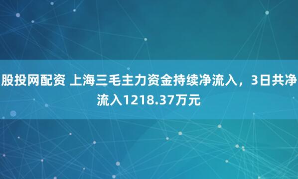 股投网配资 上海三毛主力资金持续净流入，3日共净流入1218.37万元