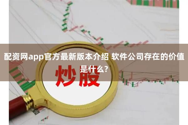 配资网app官方最新版本介绍 软件公司存在的价值是什么?